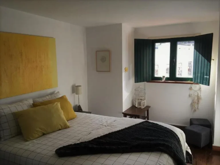 King Garfield House (Accommodations - Apartment) in Santa Maria da Feira (Aveiro - Center)