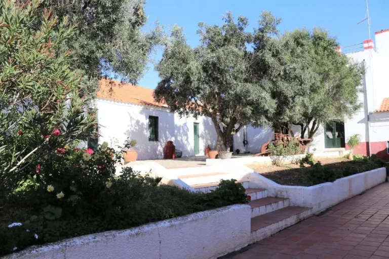 Quinta do Castelo (Accommodations - Local Accommodations) in Beja (Beja - Alentejo)