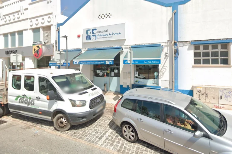 Hospital Veterinário de Portimão (Services - Health and Medical Care) in Portimão (Faro - Algarve)