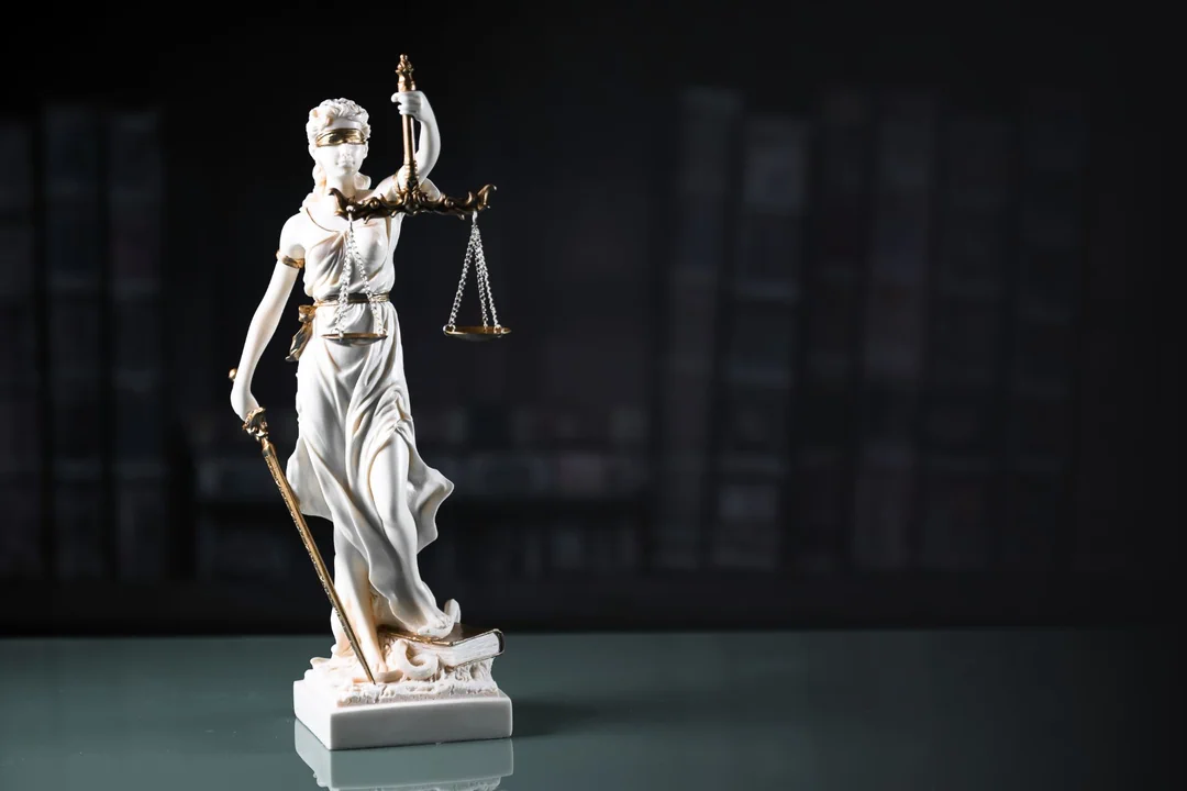 TP Solicitor (Services - Specialized Services) in Lagoa (Algarve) (Faro - Algarve)