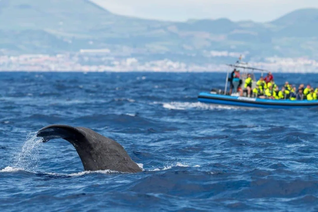 Futurismo Azores Adventures (Services - Tourism and Travel) in Ponta Delgada (Ilha de São Miguel - Açores)