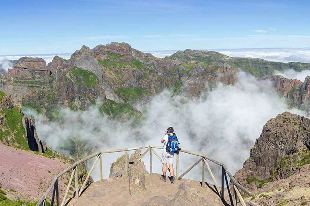 Madeira Sunrise Tours (Services - Tourism and Travel) in Funchal (Ilha da Madeira - Madeira)